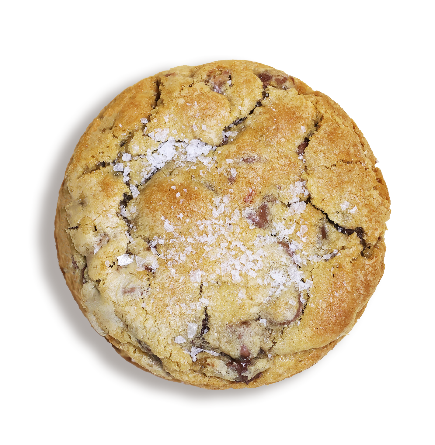 Sea Salt Chocolate Chip